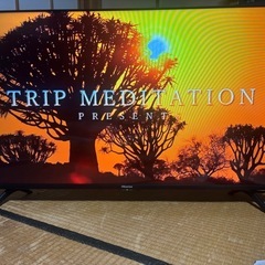 2023年製　40A35G ハイセンス テレビ 美品の画像