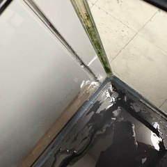 12Lの水槽(メダカもオマケで)の画像