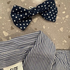 セットアップの画像