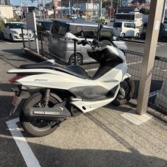 PCX125(期間限定セール)の画像