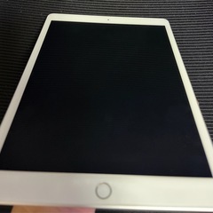 iPad 第8世代 32GB Cellularモデルの画像