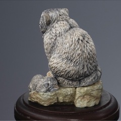 いきもの大図鑑　マヌルネコの画像