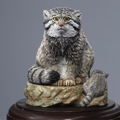 いきもの大図鑑　マヌルネコの画像