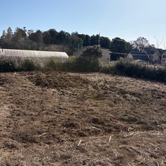 【3月の部】🌱ゆるっと畑ボランティア募集🌱