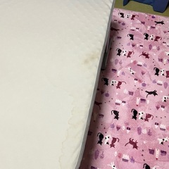 介護用ベッドの画像