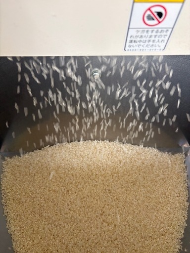 稲敷産コシヒカリ