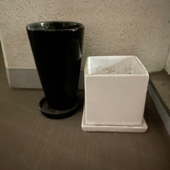 植木鉢お譲りしますの画像