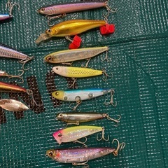 シーバス・チニングルアーの画像