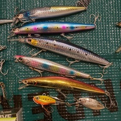 シーバス・チニングルアーの画像