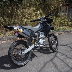 dトラッカーの画像