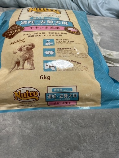 ワンコのご飯