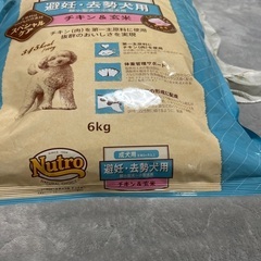 ワンコのご飯の画像