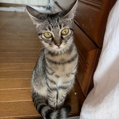 とっても可愛い女の子！