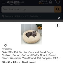 小型ペット用ベッドの画像