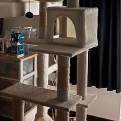 キャットタワーの画像