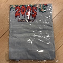 WANIMAワンチャンフェス限定tシャツの画像