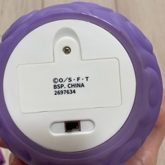 ゴムゴムの実の画像