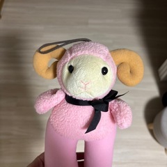 ブーツキーパーの画像