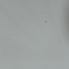 折りたたみローテーブルの画像