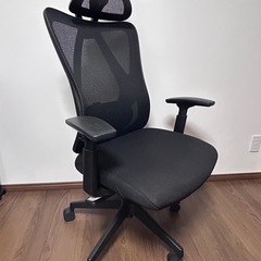 flexiSpot 人間工学的オフィスチェア C5の画像