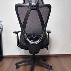 flexiSpot 人間工学的オフィスチェア C5の画像