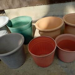 植木鉢 　その他 (中古)　の画像