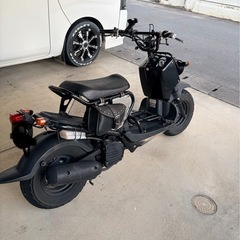 ズーマー
の画像