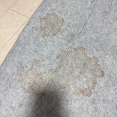 TEKNOS　電気カーペット　HC-IR150の画像