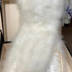 成人式用　草履　バック　ショールの画像