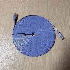 ✨美品✨フラットJANケーブル 10mの画像