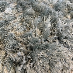 ラグ　シャギーラグ　びっくりカーテンの画像