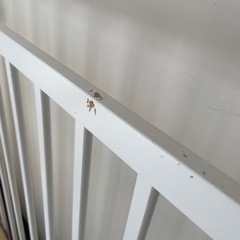 そいねーる+ロングの画像