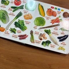 はじめてのずかん900 ジャンク品の画像