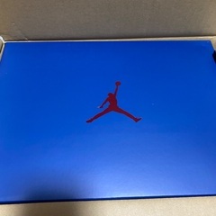Levi’s Nike Air Jordan 3 Retro SP Indigo　27センチの画像