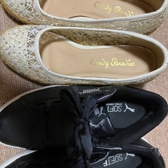 女性用靴二足の画像