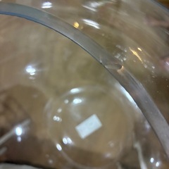 ガラス水槽　金魚鉢の画像