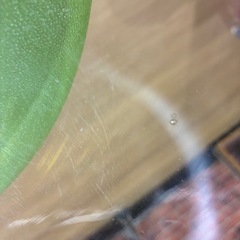 ガラス水槽　金魚鉢の画像