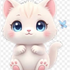 野良猫20匹の手術の為にキャリーを安価でお譲り下さい❣️の画像