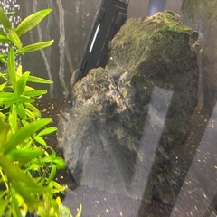 アクアリウム全部セットの画像