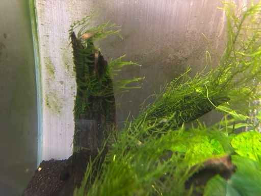 アクアリウム全部セット