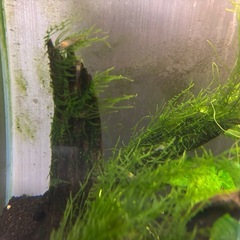 アクアリウム全部セットの画像