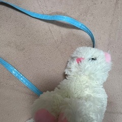 猫ちゃんバッグセットの画像