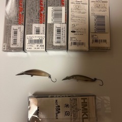 エリアトラウトミノーセット
の画像