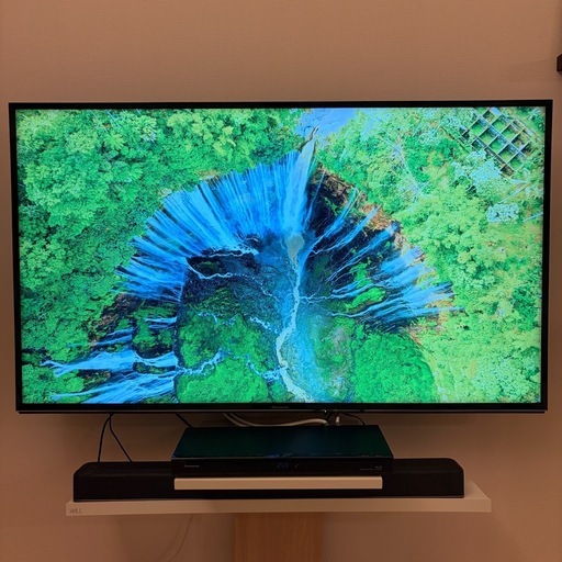 パナソニック VIERA TH-55EX600 [55インチ] 美品