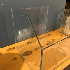 【無料】30センチ水槽と外部フィルターの画像