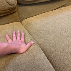 リビングハウス ソファ 2.5人掛け マスタード ハイバック切替 ローソファ可の画像