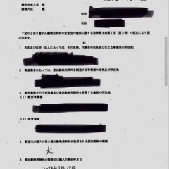 ワンチャンめちゃくちゃ喜びます！大阪島本産　ニホンジカ　肋骨ジャーキー計350g の画像