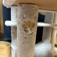 《無料》キャットタワー🐈の画像