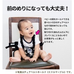 正規品キャリフリーCarryfreeチェアベルト撥水加工EIGHTEXチェック黒の画像