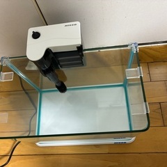 本日限定⑤曲がり水槽セットの画像